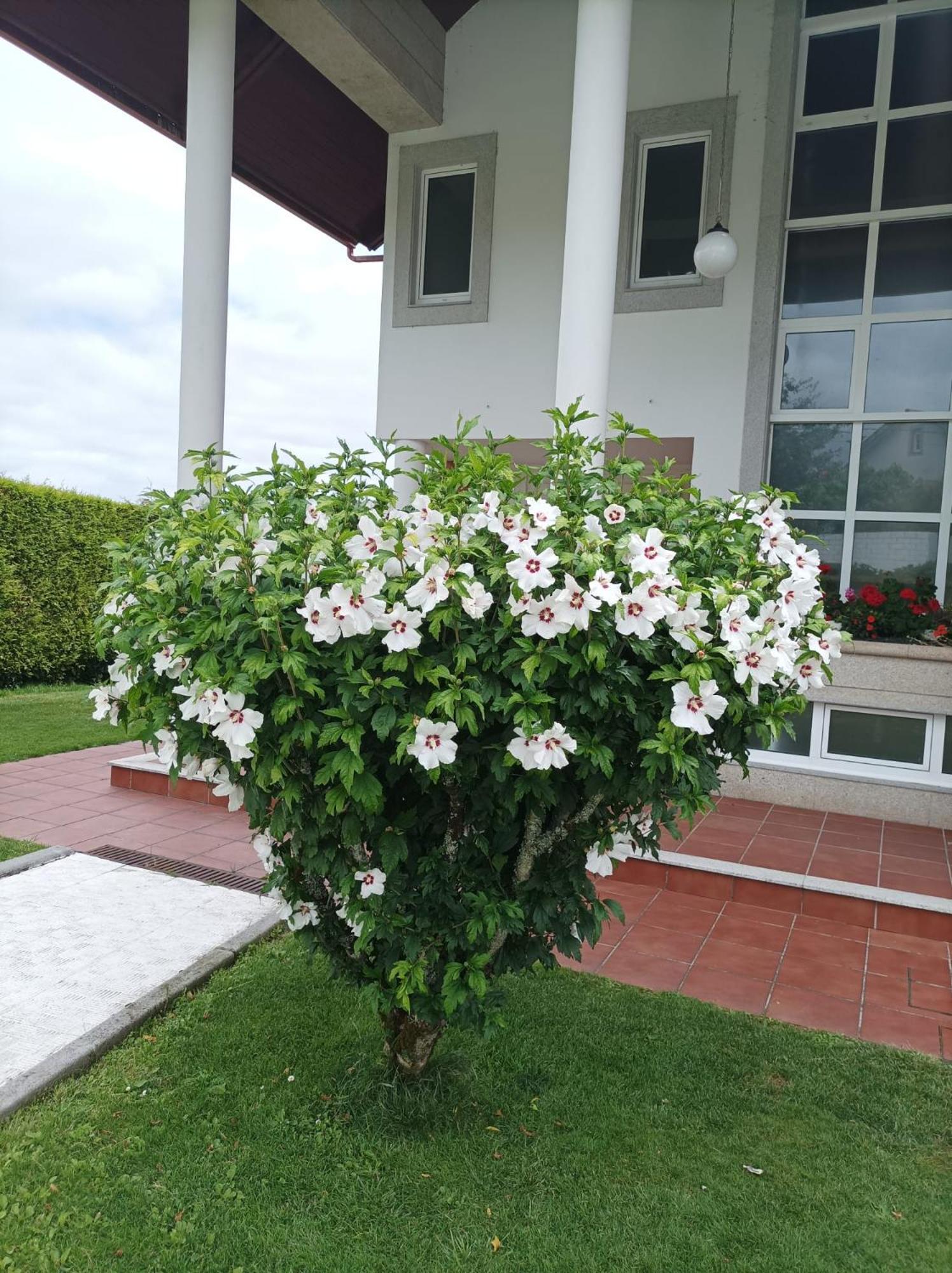Casa D Aitana Villa ซานติอาโก เด กอมโปสเตลา ภายนอก รูปภาพ